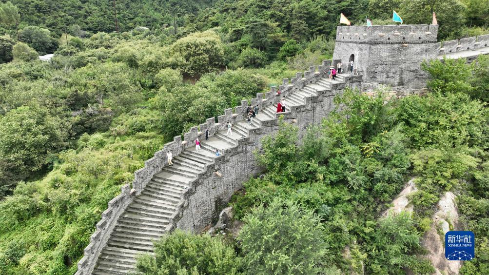 bg官网是哪个